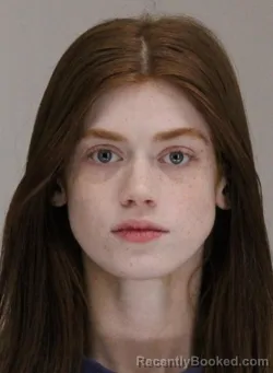 Booking photo from Dallas County, Texas