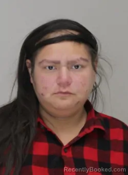 Booking photo from Dallas County, Texas