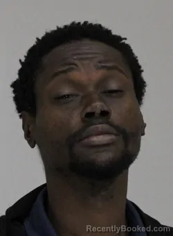 Mugshot of CHANDLER BROWN