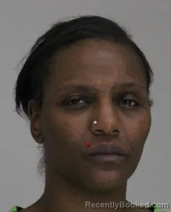 Mugshot of BRITTANY ETCHISON