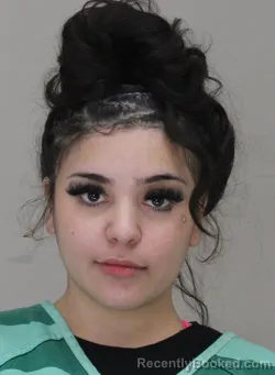Mugshot of MELANIE CHACONREYES