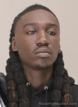 Mugshot of DAVIEN MCHENRY