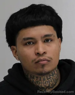 Mugshot of EDWIN ZAMORA