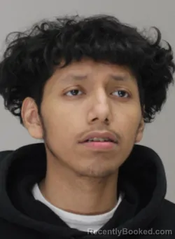 Mugshot of GIOVANNI VENCES