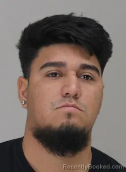 Mugshot of JUAN RAMOS