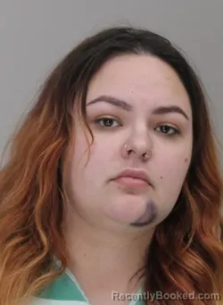 Mugshot of CELEST HILLDONAHUE