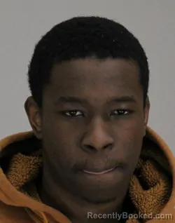 Mugshot of AMAIREA GILLILAND