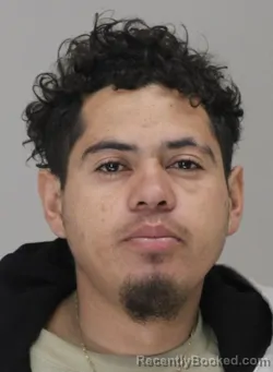 Mugshot of DAVID GUZMAN