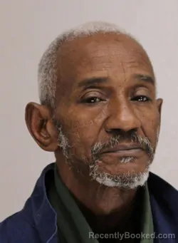 Mugshot of ROBERT BROWN