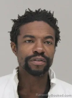 Mugshot of RANDI WEBB