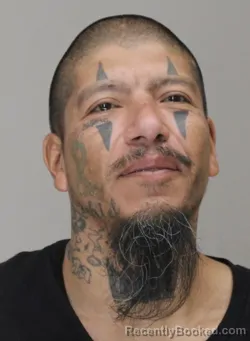 Mugshot of JOSE CARDENAS