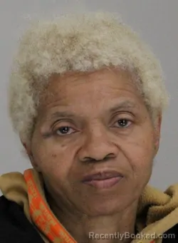 Mugshot of TONI JOHNSON