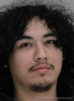 Mugshot of RAFAEL FLORES