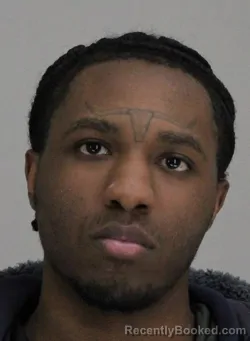 Mugshot of KEN JOHNSON