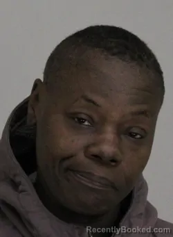 Mugshot of MINNIE BROWN