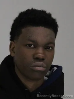 Mugshot of ERIN MORGAN