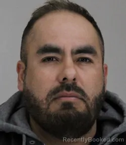 Mugshot of JUAN FLORES