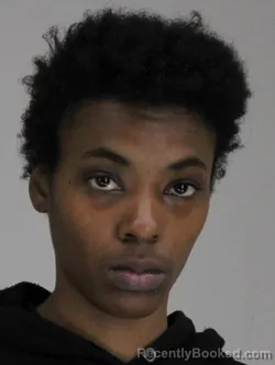 Mugshot of NEFERTARI JOHNSON