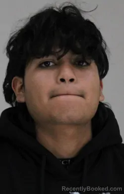 Mugshot of ALEJANDRO ANGULO