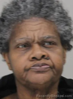 Mugshot of CARRIE ROBINSON