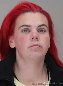 Mugshot of HEATHER RINCKER