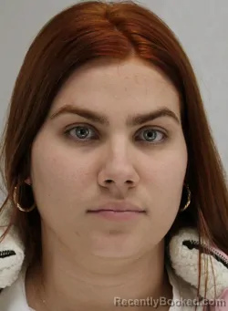 Mugshot of VIRGEN MORALESESCOBAR
