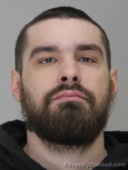 Mugshot of NATHAN DAVIS