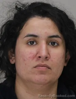Mugshot of JANINE SANCHEZ