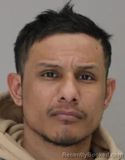 Mugshot of JORDAN NAVARRO RAMOS