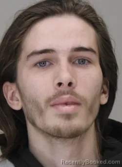 Mugshot of MICHALE HERRING