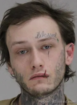 Mugshot of TANNER OUTLAW