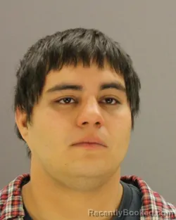 Mugshot of WILFREDO HERNANDEZ