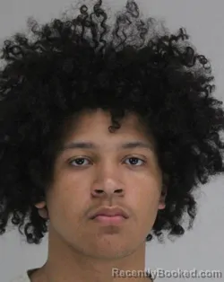Mugshot of JULIAN MEIJA