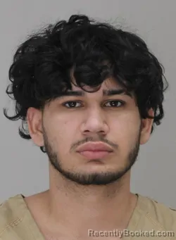 Mugshot of ALDRIN PALACIOSPINELL