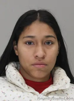 Mugshot of MARIANGELA GONZALEZ