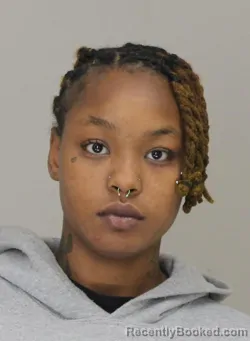Mugshot of SASHA HAMPTON