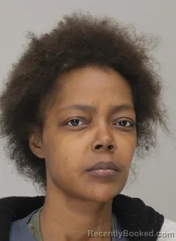 Mugshot of TICARA JOHNSON