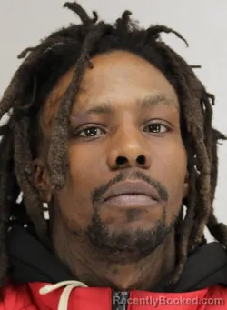 Mugshot of LAQUAVIUS ROY