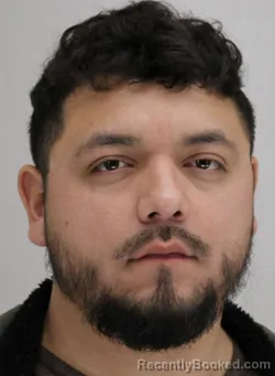 Mugshot of MARIO RODRIGUEZ