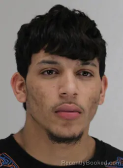 Mugshot of ANDERSON OVALLEHIDALGO