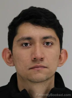 Mugshot of LEONARDOSEBASTIAN DIMAS-DELGADO