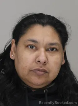 Mugshot of JULIE TORRES