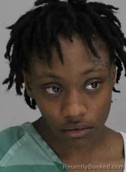 Mugshot of LISA PHILLIPS