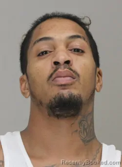 Mugshot of CORRIE FRANK