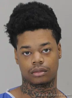 Mugshot of DATARYVEN MCGEE