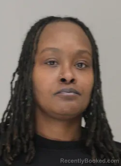 Mugshot of BRITNEY BARNES