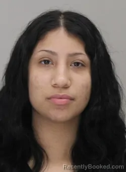 Mugshot of BIANCA AYALA