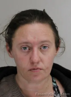 Mugshot of LINDSEY AYERS