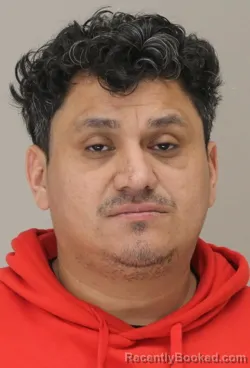 Mugshot of JOSE TORRESMALDONADO
