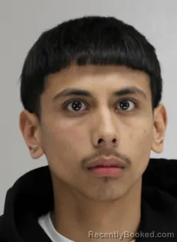 Mugshot of ANTHONY ROJAS